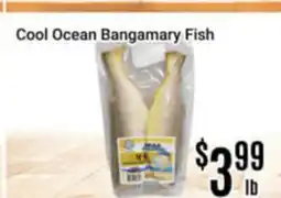 Nations Fresh Foods Cool Ocean Bangamary Fish offer