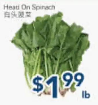 Oceans Fresh Food Market Head On Spinach offer