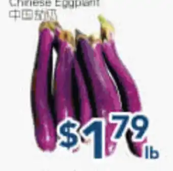 Oceans Fresh Food Market Chinese Eggplant offer