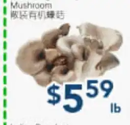 Oceans Fresh Food Market US Organic Mushroom offer
