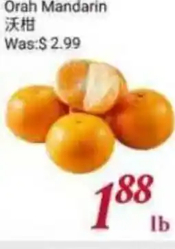 Tone Tai Supermarket Orah Mandarin offer