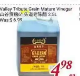 Tone Tai Supermarket Mountain Treasure Valley Tribute Grain Mature Vinegar offer