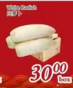 Tone Tai Supermarket White Radish offer