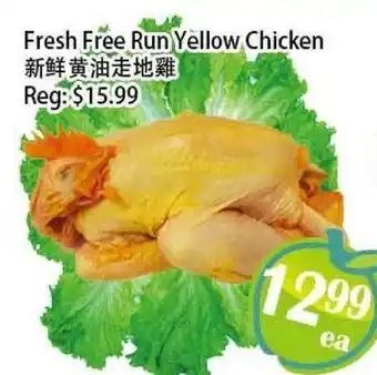 Food Depot Supermarket Fresh Free Run Yellow Chicken offer