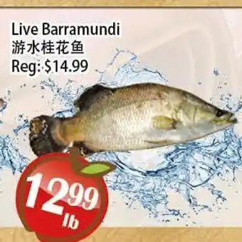 Food Depot Supermarket Live Barramundi offer