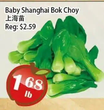 Food Depot Supermarket Baby Shanghai Bok Choy offer