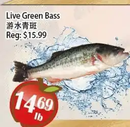 Food Depot Supermarket Live Green Bass offer