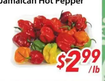 Bestco Food Mart Jamaican Hot Pepper offer
