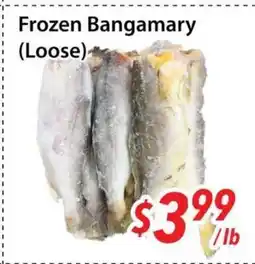 Bestco Food Mart Frozen Bangamary (Loose) offer