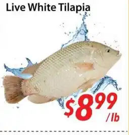 Bestco Food Mart Live White Tilapia offer