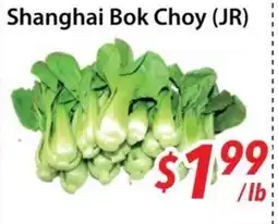 Bestco Food Mart Shanghai Bok Choy (JR) offer