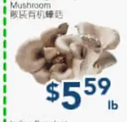 Oceans Fresh Food Market Oyster Mushroom offer