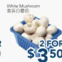 Oceans Fresh Food Market White Mushroom offer
