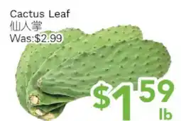 Ample Food Market Cactus Leaf offer