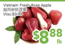 Ample Food Market Vietnam Fresh Rose Apple offer