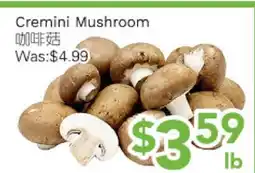 Ample Food Market Cremini Mushroom offer
