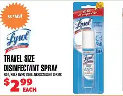 Len's Mill Stores TRAVEL SIZE DISINFECTANT SPRAY offer