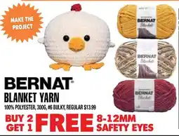 Len's Mill Stores BERNAT BLANKET YARN offer