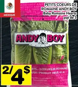 Supermarché PA PETITS COEURS DE ROMAINE ANDY BOY | Baby Romaine Hearts offer