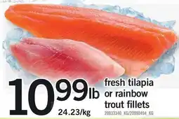 Loblaws Fresh tilapia lb or rainbow trout fillets offer