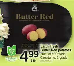 Loblaws Earth fresh butter red potatoes offer