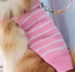 Walmart One Paw Dog Sweater offer