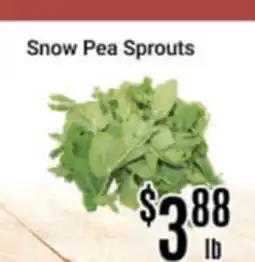 Nations Fresh Foods Snow Pea Sprouts offer