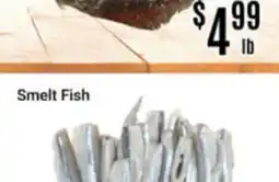 Nations Fresh Foods Smelt Fish offer