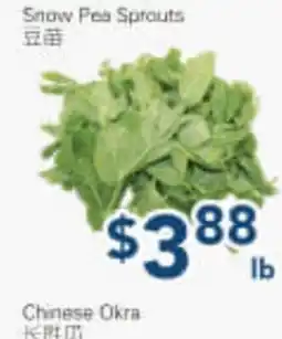 Oceans Fresh Food Market Snow Pea Sprouts offer