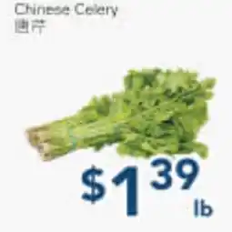 Oceans Fresh Food Market Chinese Celery offer