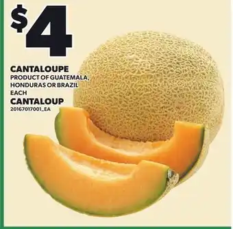 Independent City Market CANTALOUPE offer