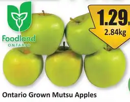 Starsky Ontario Grown Mutsu Apples offer