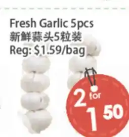 Fresh Palace Supermarket Fresh Garlic 5pcs offer