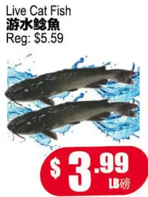 Yuan Ming Supermarket Live Cat Fish offer
