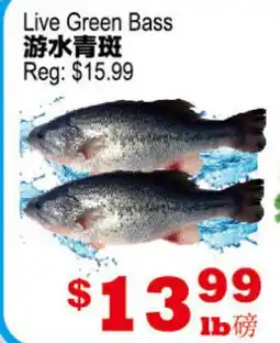 Yuan Ming Supermarket Live Green Bass offer