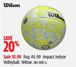 Canadian Tire Wilson Impact Indoor Volleyball offer