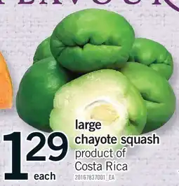 Fortinos LARGE SQUASH offer