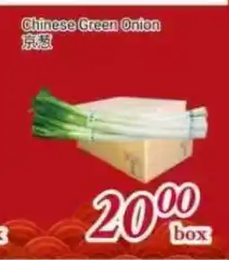Tone Tai Supermarket Chinese Green Onion offer