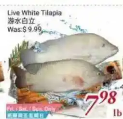 Tone Tai Supermarket Live White Tilapia offer
