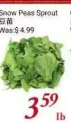 Tone Tai Supermarket Snow Peas Sprout offer