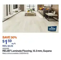 Patrick Morin RELIEF Laminate Flooring, 12.3 mm, Guyana offer