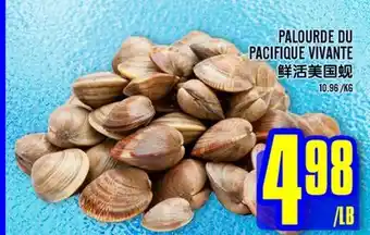 Marché Lian Tai PALOURDE DU PACIFIQUE VIVANTE offer