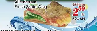 Marche C&T Fresh Skate Wing offer