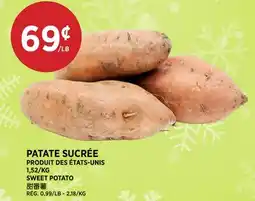 Kim Phat SWEET POTATO offer