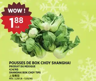 Kim Phat SHANGHAI BOK CHOY TIPS offer