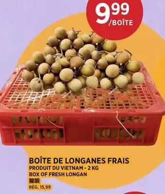 Kim Phat BOX OF FRESH LONGAN offer