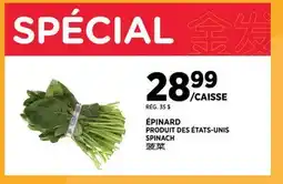 Kim Phat SPINACH offer
