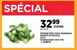 Kim Phat SHANGHAI BOK CHOY TIPS offer
