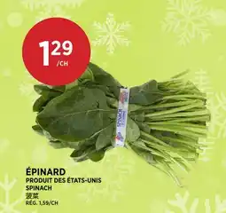 Kim Phat SPINACH offer