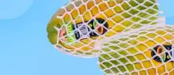 Kim Phat RIPE PAPAYA offer